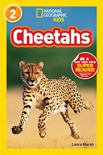 Cheetahs 