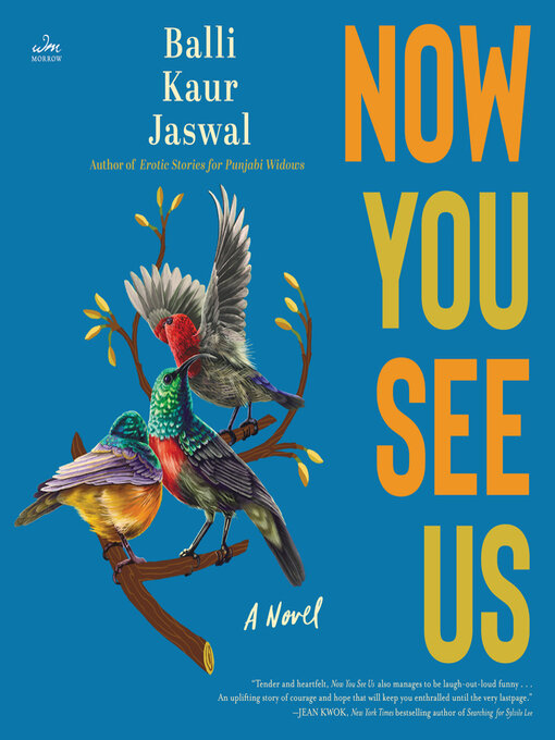 Now You See Us : A Novel